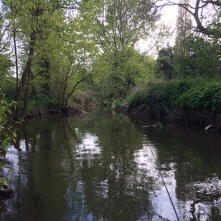 Rea Brook, where the Grayling be.